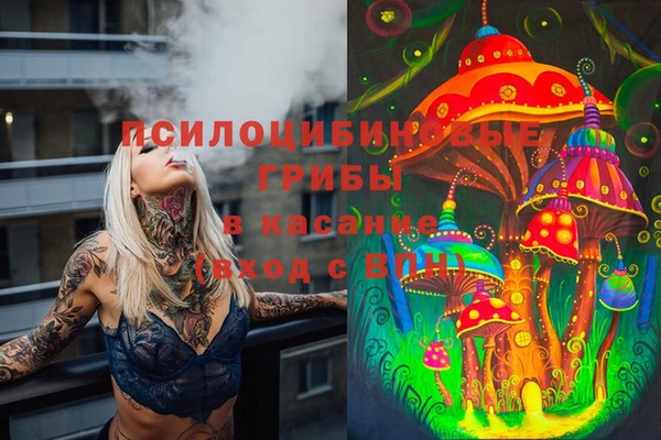 винт Балахна