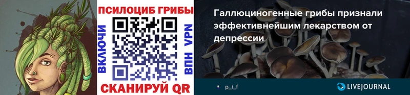Галлюциногенные грибы мицелий  наркотики  Богданович 