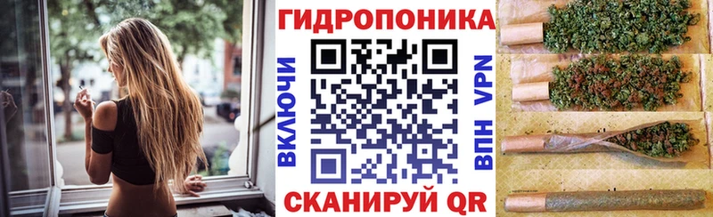 как найти   Богданович  кракен онион  Канабис семена 